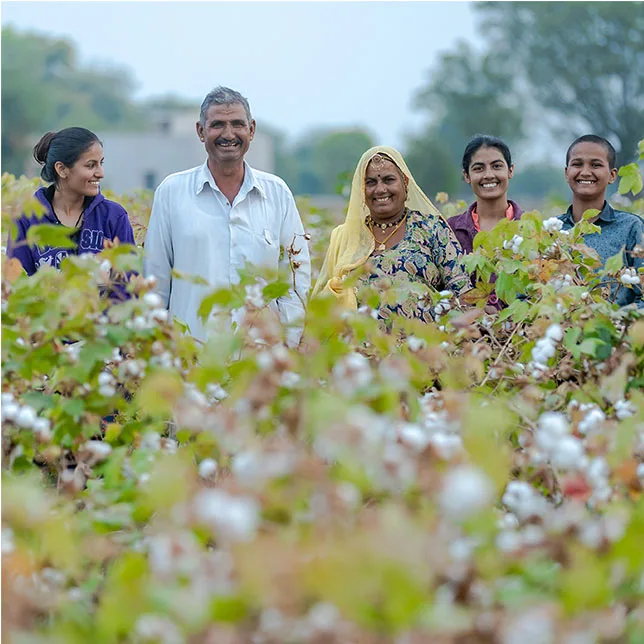 Organic cotton accelerator